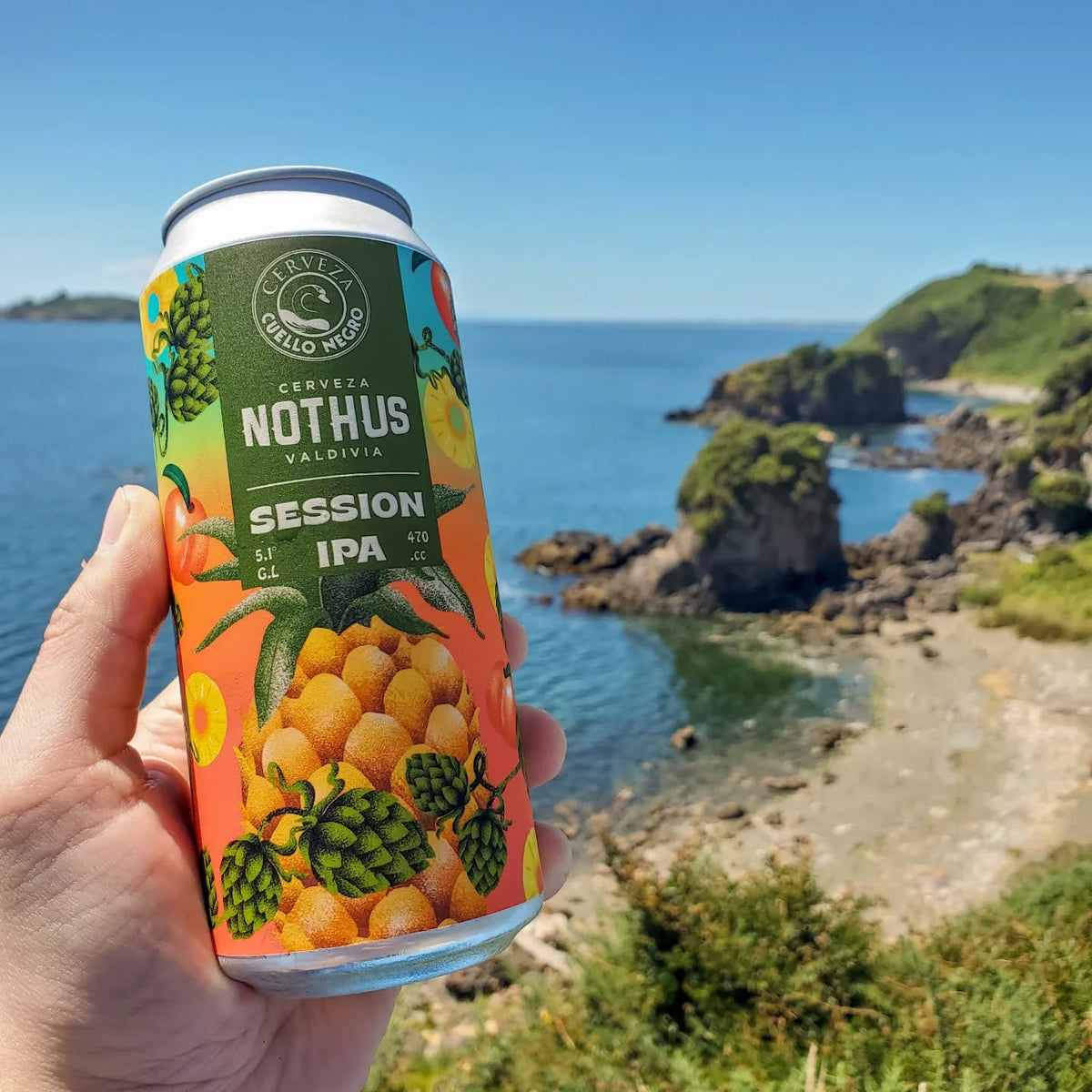 Session ipa