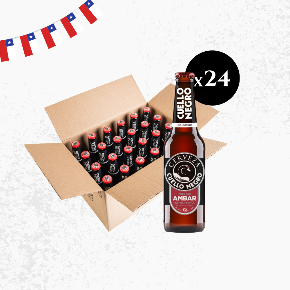 Pack Celebra el 18 · Botellas