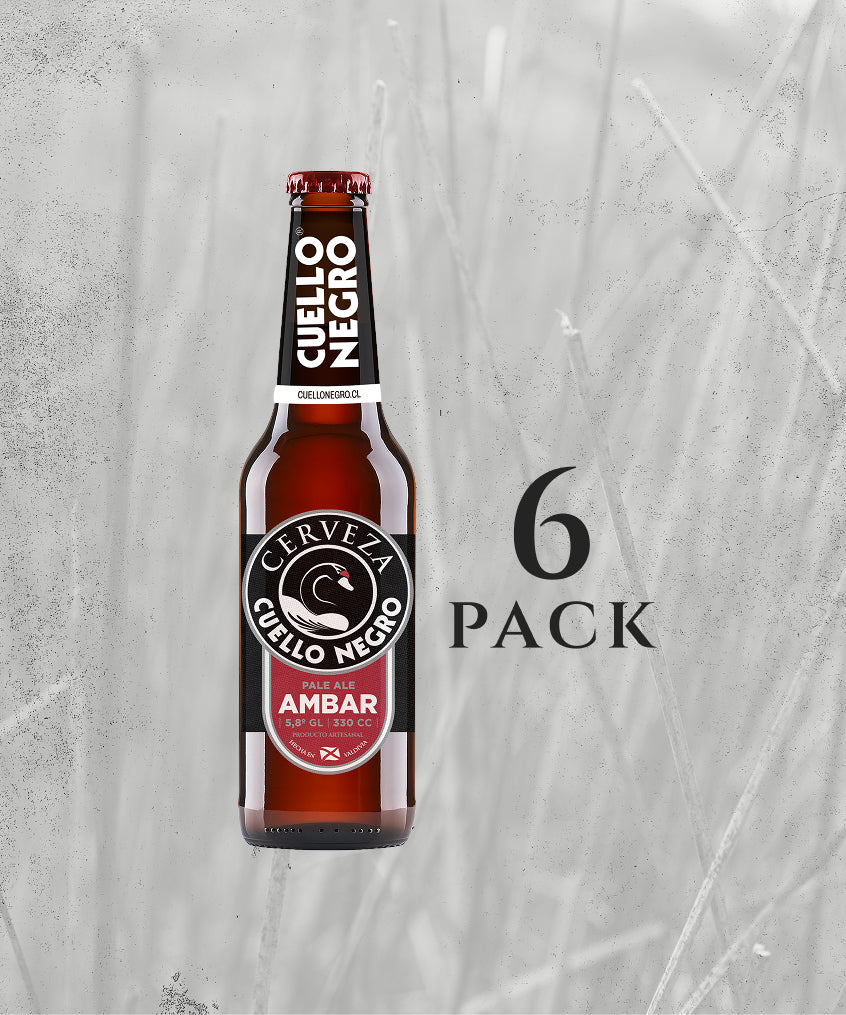 Pack 6 Ámbar Botella 330cc