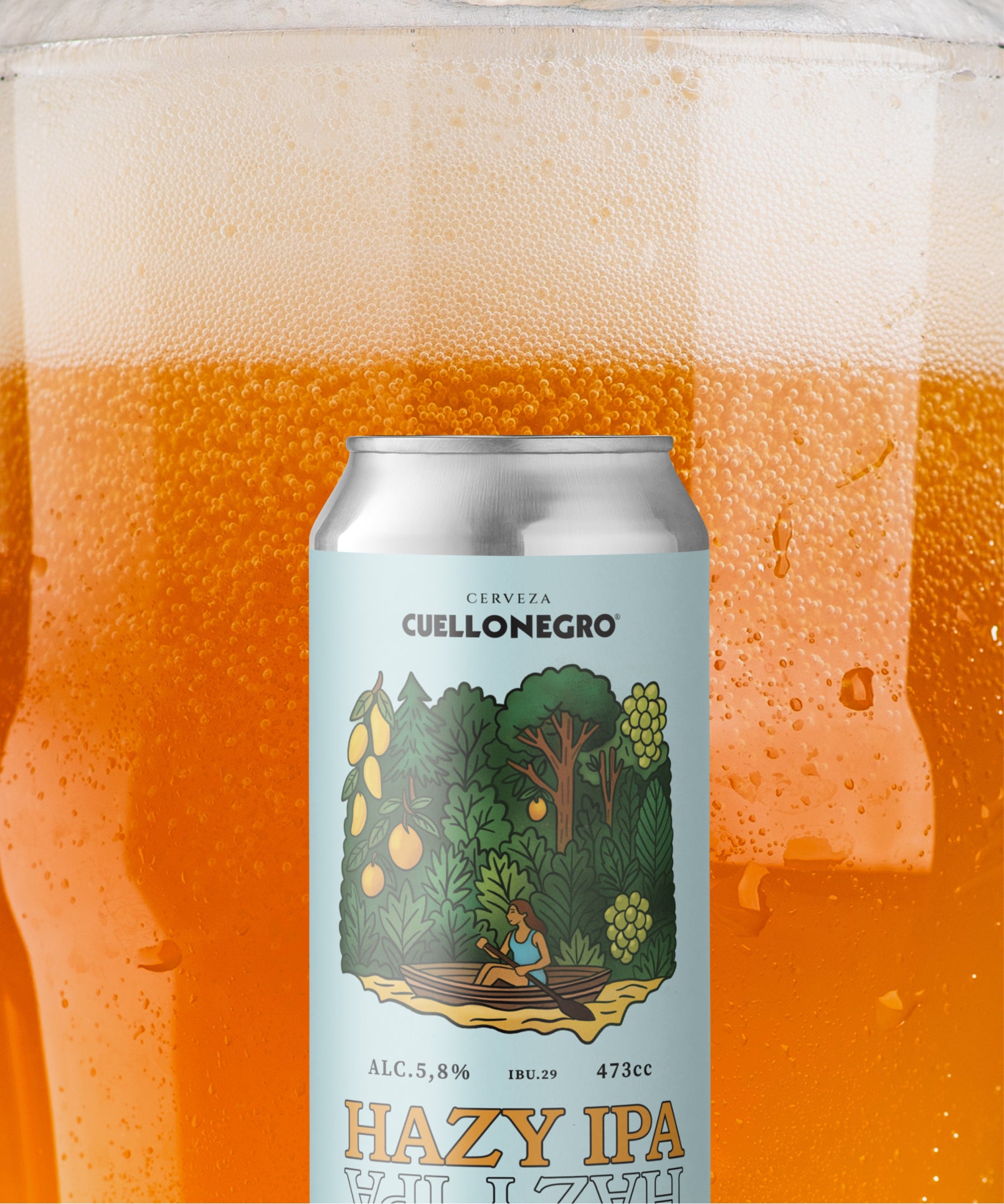 Hazy Ipa