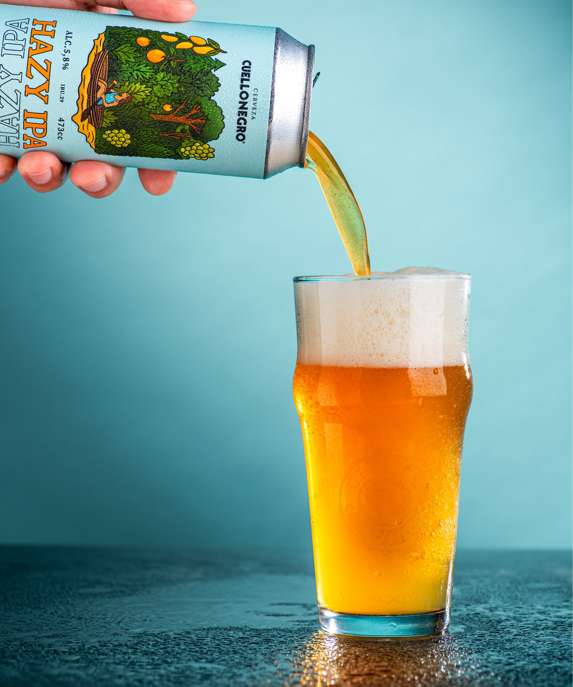Hazy Ipa