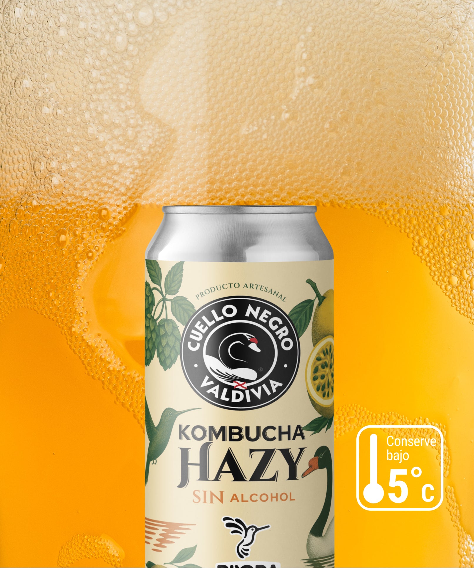 Hazy Kombucha - Sin Alcohol